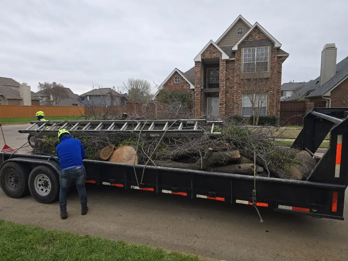 Expert Tree Pest Control with proper safety equipment in Pool